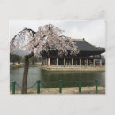 Search for spring cherry blossoms postcards Photography