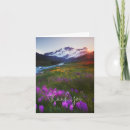 Search for river sunset cards Watercolor
