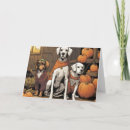 Search for dogs halloween cards Pumpkins