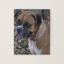 Search for boxer puzzles Dogs
