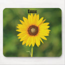 Search for pollen electronics Summer