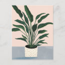 Search for houseplant postcards Botanical