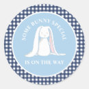 Search for blue gingham baby shower stickers Boy