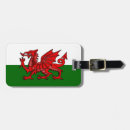 Search for welsh dragon Flag of wales