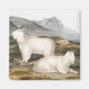 Search for americana magnets Wildlife