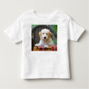 Search for golden doodle clothing Poodle