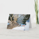 Search for wildlife christmas cards Deer
