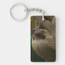 Search for sloth key rings Zoo