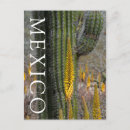 Search for agave postcards Desert