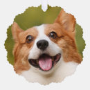 Search for dog photo christmas tree decorations Dogs