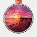 Search for resort christmas tree decorations Travel