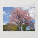 Search for harry postcards Pink
