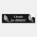 Search for falcone bumper stickers Bird