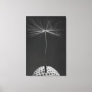 Search for dandelion canvas prints White