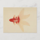 Search for gold fish postcards Ocean