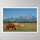 Search for mountain horse posters Landscape