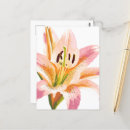 Search for stems postcards Watercolor