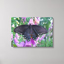 Search for bug canvas prints Garden