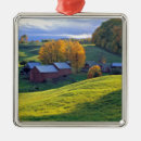 Search for usa christmas tree decorations New england