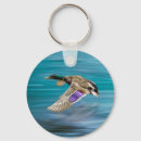 Search for duck key rings Nature