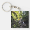 Search for minerals key rings Nature