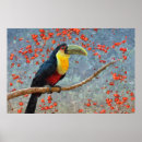 Search for amazon rainforest posters Tropical