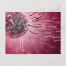 Search for sperm postcards Three dimensional