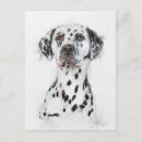 Search for loyal postcards Cute