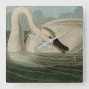 Search for trumpet clocks Audubon