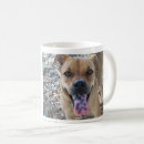 Search for spotted dog mugs Black
