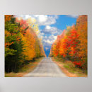 Search for fall in new england posters Autumn