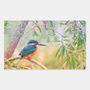 Search for kingfisher stickers Nature
