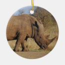 Search for rhino christmas tree decorations Safari