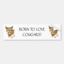 Search for cougar bumper stickers Animal