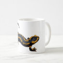 Search for salamander mugs Amphibian