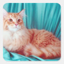 Search for mammal stickers Feline