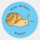 Search for snails shell stickers Cute