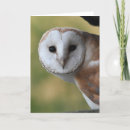 Search for scotland cards Nature