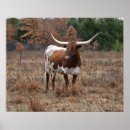 Search for texas longhorn art Farm