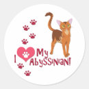 Search for abyssinian stickers Animals