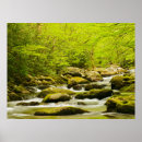 Search for on forks posters Tennessee