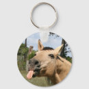 Search for buckskin accessories Animal