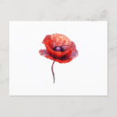 Search for poppy design postcards Red