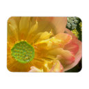 Search for open content Flowers