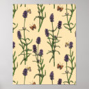 Search for aromatherapy posters Illustration