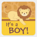 Search for lion stickers Brown