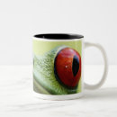 Search for green tree frogs mugs Costa rica