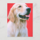 Search for panting postcards Puppy