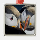 Search for puffin christmas tree decorations Black
