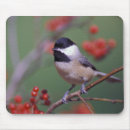 Search for branches mousepads Perched
